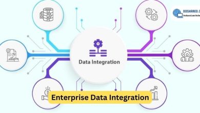 Enterprise Data Integration