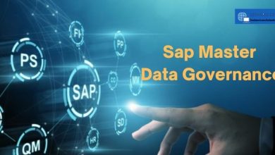 Sap Master Data Governance