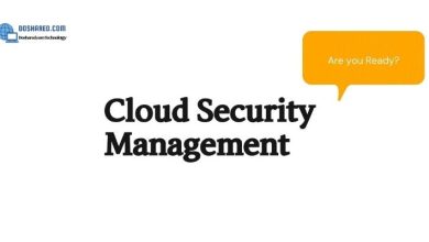 Cloud Security Management